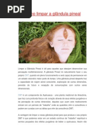 Artigo - Como Limpar a Glândula Pineal(03 pgs)_OK