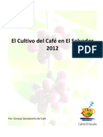 El Cultivo Del Cafe en El Salvador