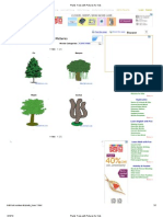 Plants Trees With Pictures For Kids1 PDF