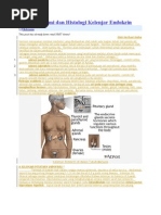 Download Aspek Anatomi Dan Histologi Kelenjar Endokrin by Wulan Oktaviani SN151040922 doc pdf