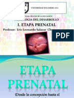 Etapa Prenatal