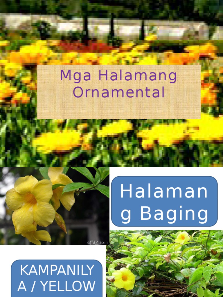 Halamang Ornamental Pdf