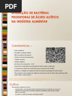 Bactérias acéticas_micro