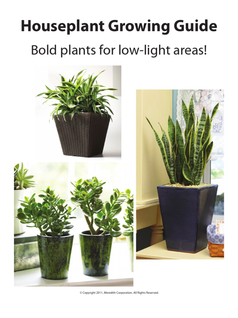 Houseplant Growing Guide, Book 1 PDF Houseplant Environmental Design