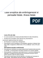 Date Sinoptice Ale Embriogenezei Si Perioadei Fetale