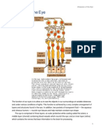 Disease of The Eye