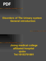 Disorders of The Urinary System General Introduction