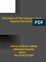 Disorders of The Urinary System General Introduction