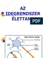 9 Az Idegrendszer Elettana