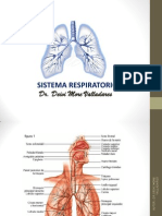Diapositiva de Sistema Respiratorio. DM