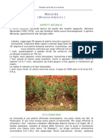 Monarda PDF