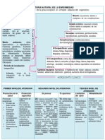 Formato de HNE Obesidad Listo