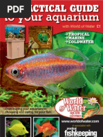 Download Aquarium by Hooman Ahmadian SN151142495 doc pdf