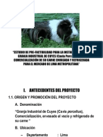 60208146 Proyecto Cuy