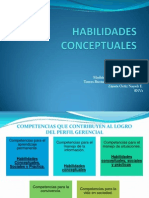 Habilidades Conceptuales