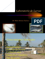Laboratorio de Larvas1, Maylarvaso 31-2013