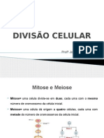 DIVISÃO_CELULAR.pptx