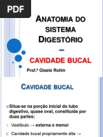 Anatomia do sistema Digestório - cavidade bucal