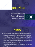 Hantavirus