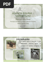 ADENITE EQUINA - GARROTILHO