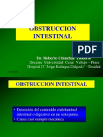 Obstruccion Intestinal