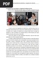 O Caminho Novo em mapas a Capitania de Minas Gerais