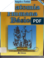 Anatomia Humana - Dangelo e Fattini - 2ª ed