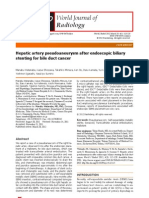 Hepatic Artery Pseudoaneurysm After Endoscopic Biliary Stenting for Bile Duct Cancer