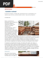 Artigo 1 - Canteiro Racional