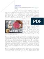 Salmonella SP