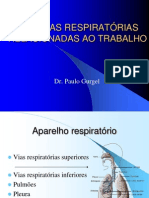 Trabalho Videira Power Point D.O