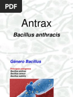 antrax