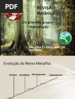 BOTÂNICA - REVISÃO
