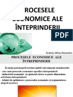 procese_economice