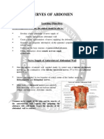 Anatomy - Nerves of Abdomen