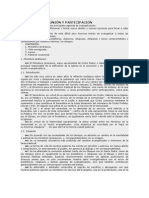 Ministerio jerárquico y agentes de evangelización en América Latina