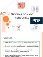 Sistema Sensorial y Motor KIne