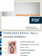 Fisiologia Renal