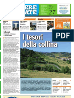 Corriere Cesenate 27-2013
