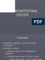 Gastrointestinal System