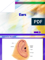 EARS  A&P.ppt