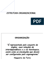 ESTRUTURA_ORGANIZACIONAL 2