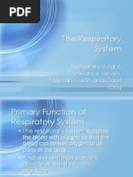 Respiratory System Powerpoint 1232722875244833 1