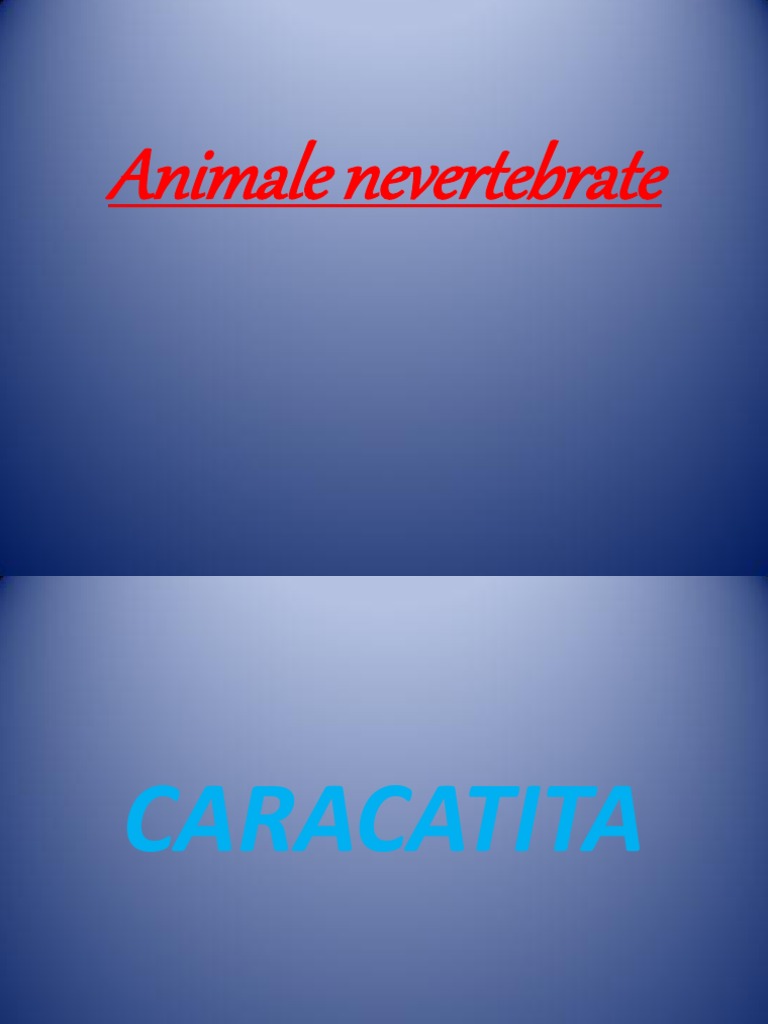 Animale Nevertebrate | PDF