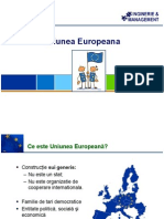 Curs Uniunea Europeana
