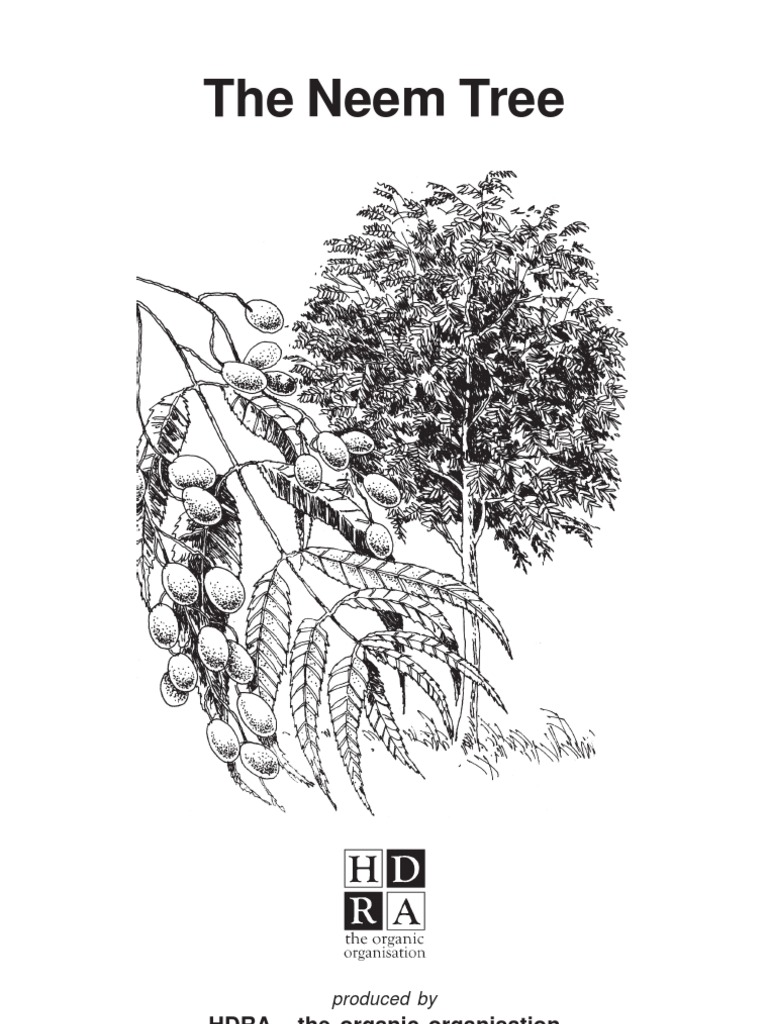 Neem Tree Uses PDF