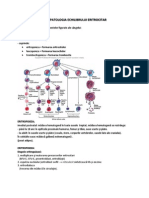 Fiziopatologia Echilibrului Eritrocitar