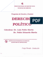 Programa Derecho Politico