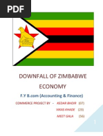 Zimbabwe Downfall