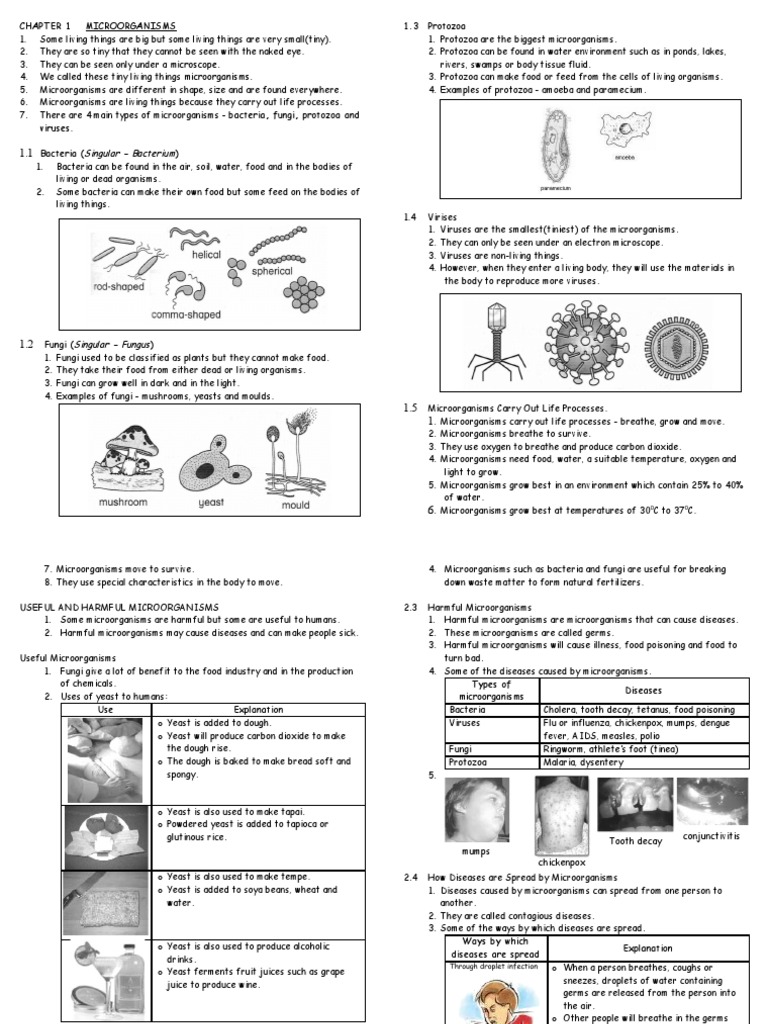 Chapter 1 Science Form 5 : Microorganism | Microorganism | Infection
